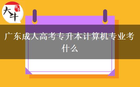 廣東成人高考專升本計算機專業(yè)考什么