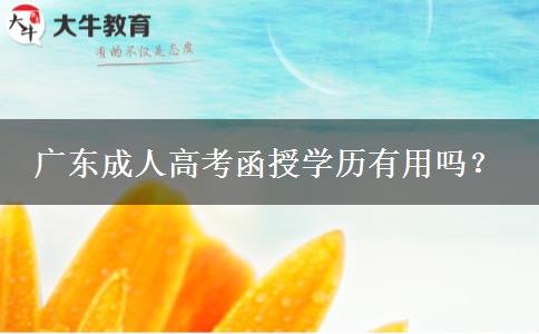 廣東成人高考函授學(xué)歷有用嗎？