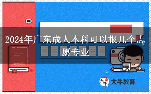 2024年廣東成人本科可以報幾個志愿專業(yè)