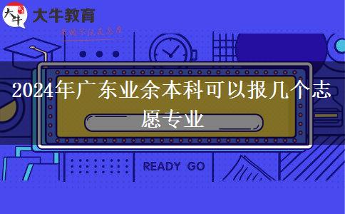 2024年廣東業(yè)余本科可以報(bào)幾個(gè)志愿專(zhuān)業(yè)