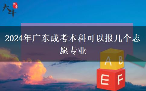 2024年廣東成考本科可以報幾個志愿專業(yè)