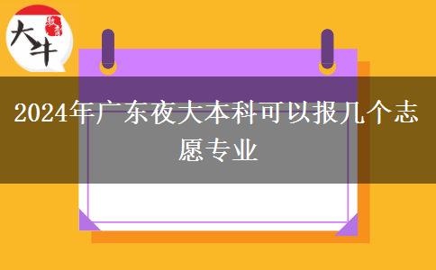 2024年廣東夜大本科可以報幾個志愿專業(yè)