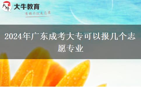 2024年廣東成考大?？梢詧?bào)幾個(gè)志愿專業(yè)