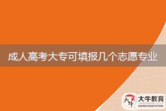 2024年廣東成人高考大?？商顖髱讉€志愿專業(yè)