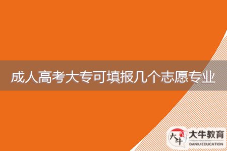 成人高考大?？商顖?bào)幾個(gè)志愿專業(yè)