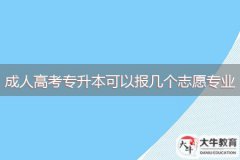 2024年廣東成人高考專升本可以報(bào)幾個(gè)志愿專業(yè)