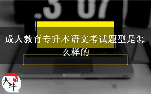 成人教育專升本語(yǔ)文考試題型是怎么樣的