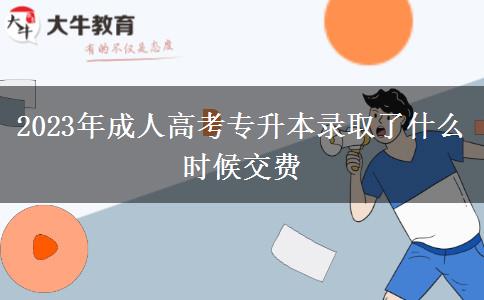 2023年成人高考專升本錄取了什么時候交費