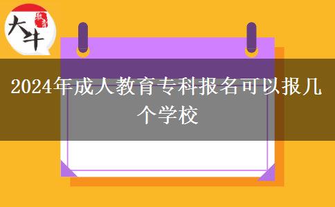 2024年成人教育專科報(bào)名可以報(bào)幾個(gè)學(xué)校