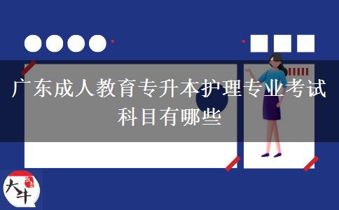 廣東成人教育專升本護理專業(yè)考試科目有哪些