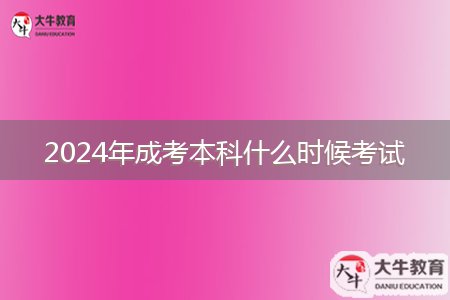 2024年成考本科什么時(shí)候考試