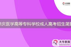 2024年肇慶醫(yī)學(xué)高等?？茖W(xué)校成人高等教育招生簡(jiǎn)章