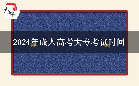 2024年成人高考大?？荚嚂r間