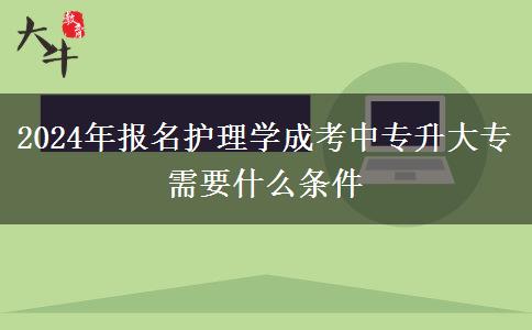 2024年報(bào)名護(hù)理學(xué)成考中專升大專需要什么條件