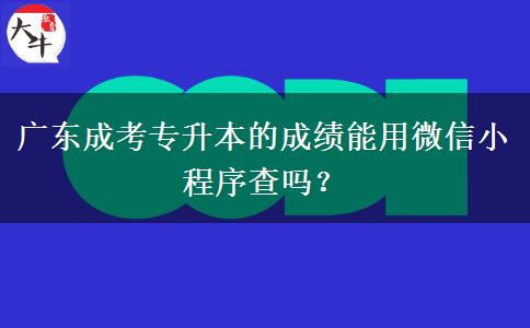 廣東成考專升本的成績能用微信小程序查嗎？