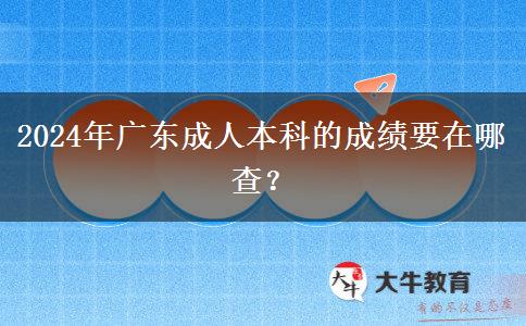 2024年廣東成人本科的成績要在哪查？