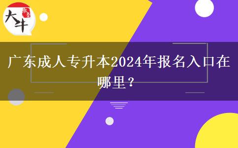 廣東成人專升本2024年報名入口在哪里？