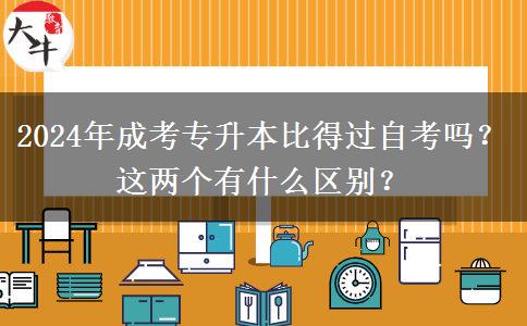 2024年成考專升本比得過自考嗎？這兩個(gè)有什么區(qū)別？