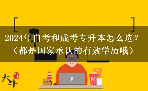 2024年自考和成考專升本怎么選？（都是國家承認的有效學(xué)歷哦）