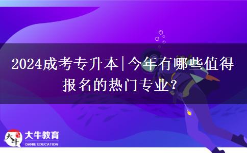 2024成考專升本|今年有哪些值得報(bào)名的熱門專業(yè)？