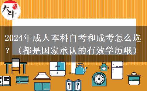 2024年自考和成人本科怎么選？（都是國家承認(rèn)的有效學(xué)歷哦）