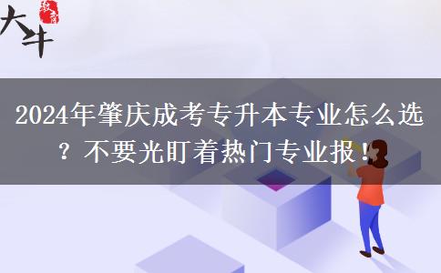 2024年肇慶成考專升本專業(yè)怎么選？不要光盯著熱門專業(yè)報(bào)！