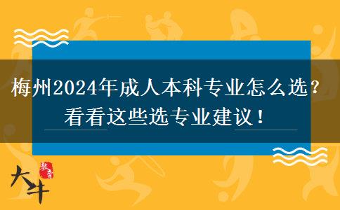 梅州2024年成人本科專業(yè)怎么選？看看這些選專業(yè)建議！