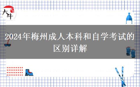 梅州2024年成人本科和自學考試都有哪些區(qū)別？