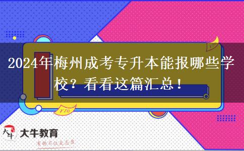 2024年梅州成考專升本能報哪些學(xué)校？看看這篇匯總！