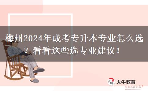 梅州2024年成考專升本專業(yè)怎么選？看看這些選專業(yè)建議！