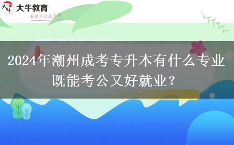 2024年潮州成考專升本有什么專業(yè)既能考公又好就業(yè)？