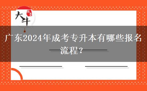 廣東2024年成考專升本有哪些報(bào)名流程？