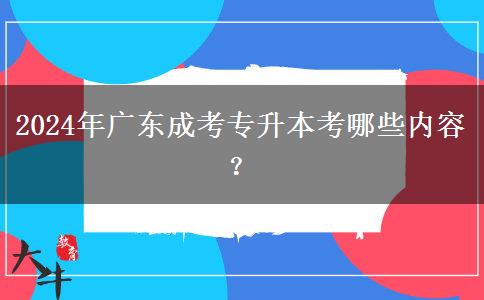 2024年廣東成考專(zhuān)升本考哪些內(nèi)容？