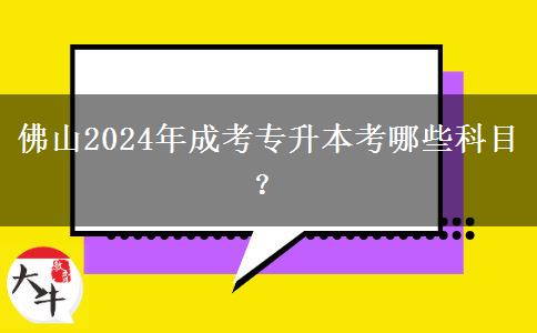 佛山2024年成考專升本考哪些科目？