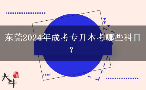 東莞2024年成考專升本考哪些科目？