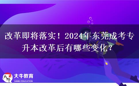 改革即將落實(shí)！2024年東莞成考專升本改革后有哪些變化？