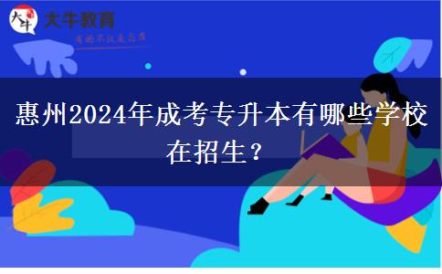 惠州2024年成考專升本有哪些學(xué)校在招生？