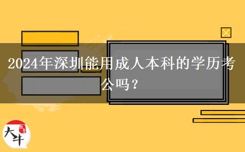 2024年深圳能用成人本科的學(xué)歷考公嗎？