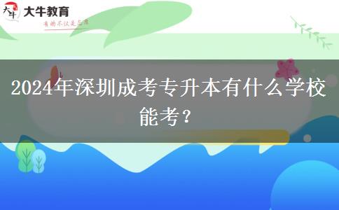 2024年深圳成考專升本有什么學(xué)校能考？