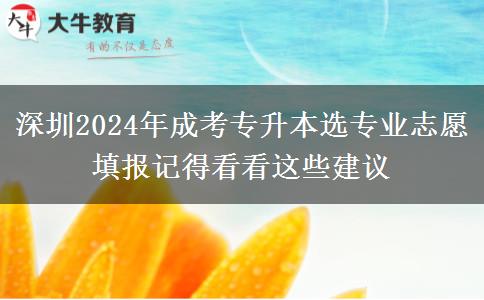 深圳2024年成考專升本選專業(yè)志愿填報(bào)記得看看這些建議