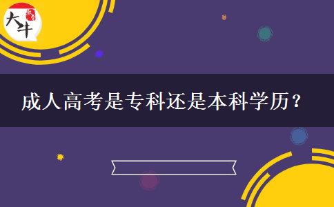 成人高考是?？七€是本科學(xué)歷？