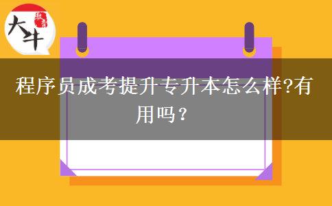 程序員成考提升專升本怎么樣?有用嗎？