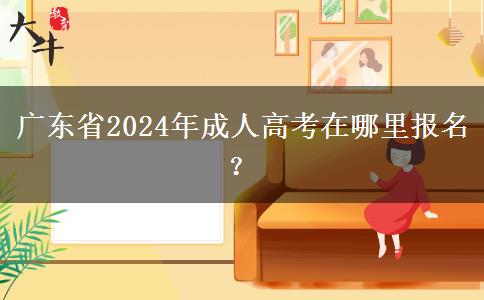 廣東省2024年成人高考在哪里報名？