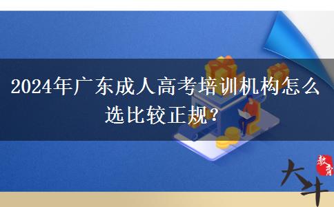 廣東2024年成人高考培訓(xùn)教育機(jī)構(gòu)怎么選比較正規(guī)？