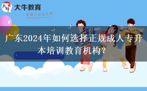 廣東2024年如何選擇正規(guī)成人專升本培訓(xùn)教育機(jī)構(gòu)