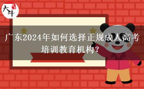 廣東成人高考2024年如何選擇正規(guī)成人高考培訓(xùn)教育機(jī)構(gòu)？