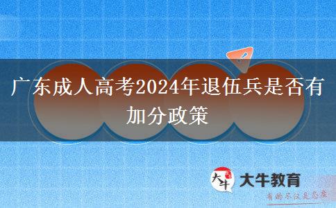 廣東成人高考2024年退伍兵是否有加分政策