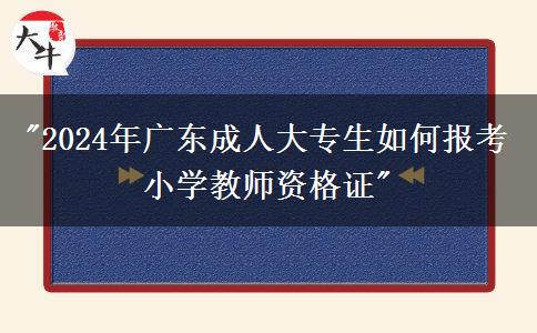 2024年廣東成人大專生如何報考小學(xué)教師資格證