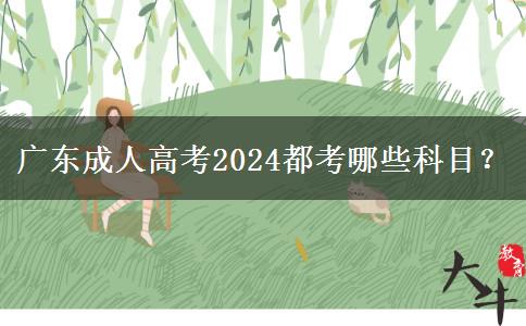 廣東成人高考2024都考哪些科目？