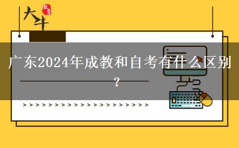 廣東2024年成教和自考有什么區(qū)別？